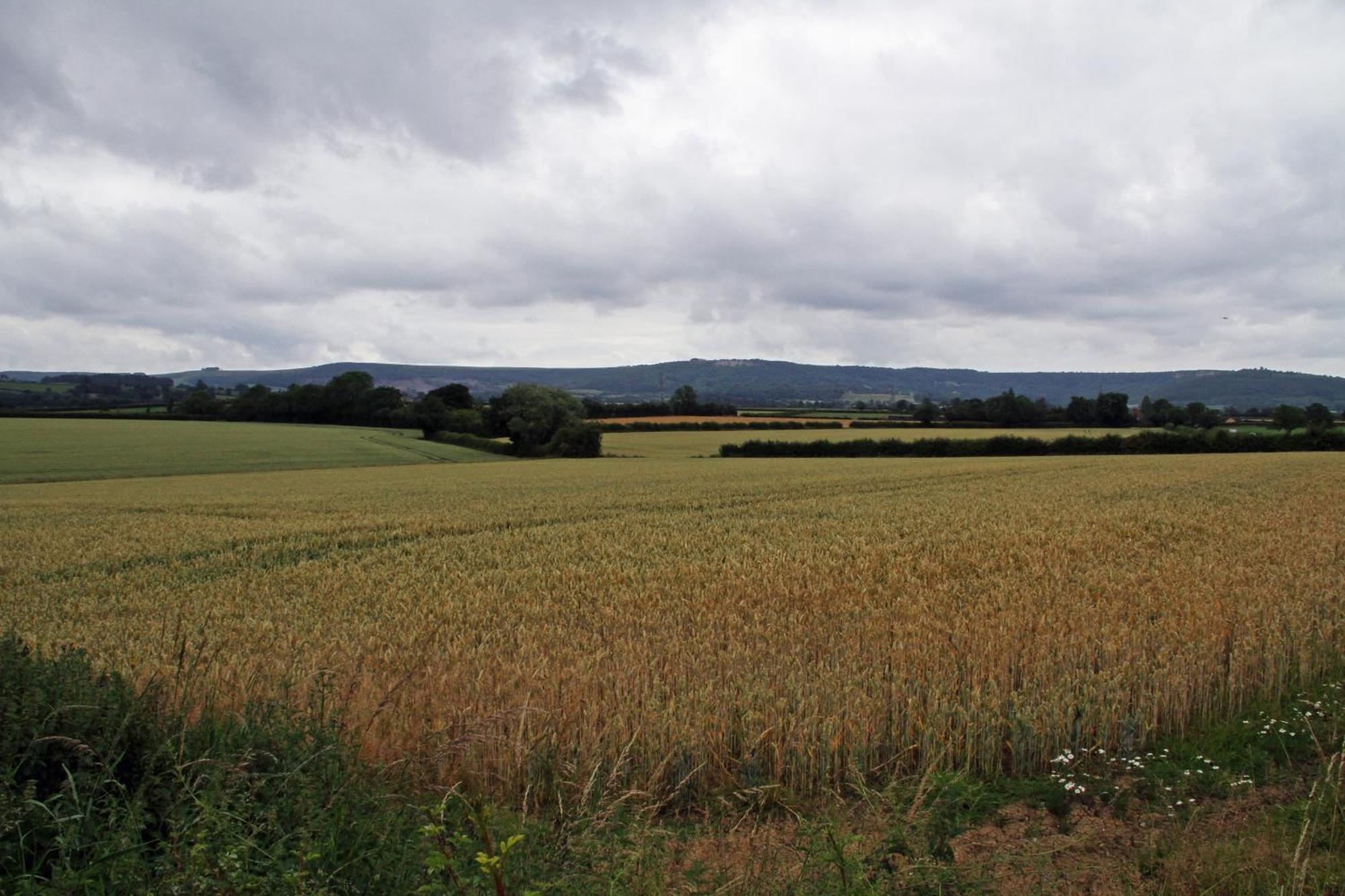 Oyo White Horse Lodge Hotel, East Thirsk Bagby Luaran gambar